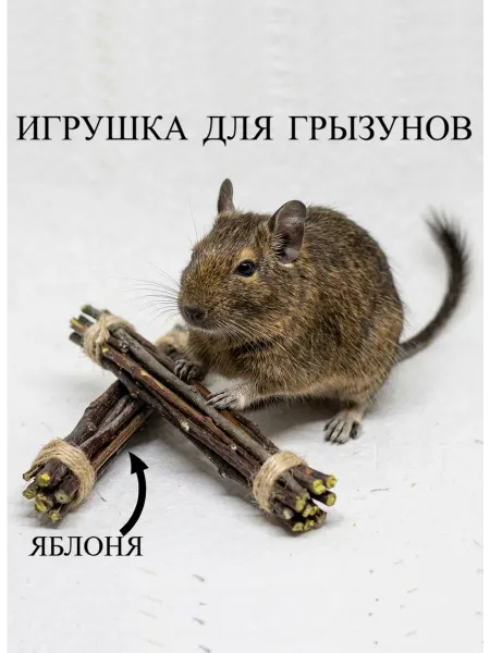 Веточки яблони Игрушки для грызунов "Расти"