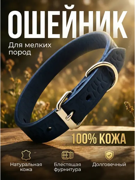 Кадет Ошейник для собак мелких пород кожаный