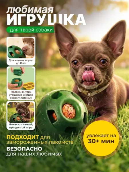 Учёный Пёс Мяч для собак для лакомств мелких пород конг