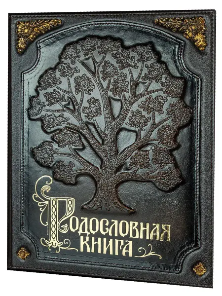 Книжный дом Бекетова Родословная книга Стандартная (А4) с бронзовыми накладками