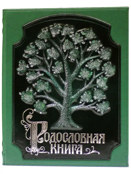 Книжный дом Бекетова Родословная книга (А4) Комби Нефрит в подарочной коробке