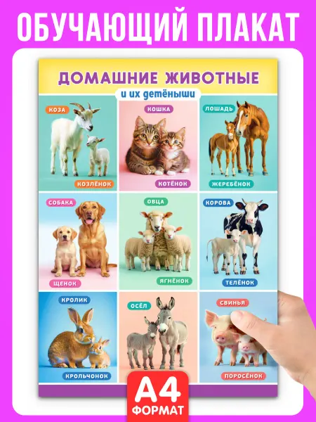 НАДО БРАТЬ ! Обучающий плакат Домашние животные и их детеныши А4