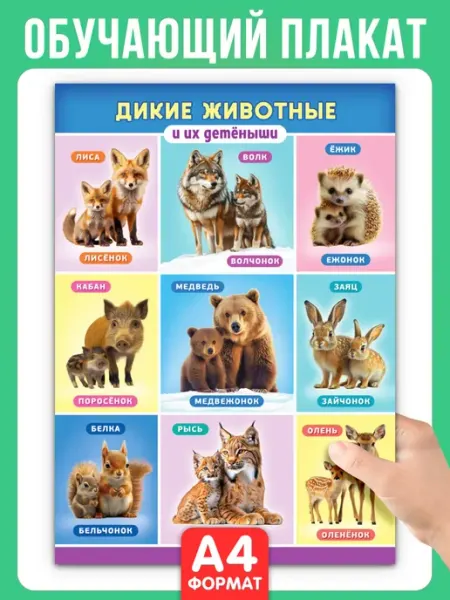 Краски шоу Обучающий плакат Дикие животные и их детеныши А4