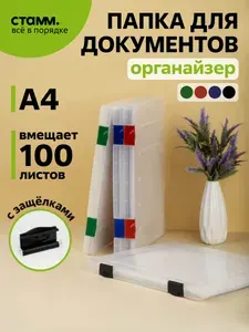 Органайзер для документов А4, папка пластиковая канцелярская