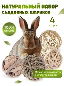 Набор из 4 шариков для грызунов, игрушка-лакомство, декор для интерьера