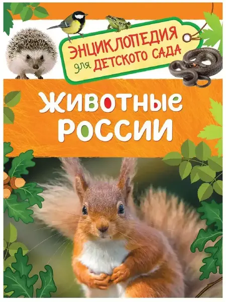 РОСМЭН Животные России. Энциклопедия для детского сада