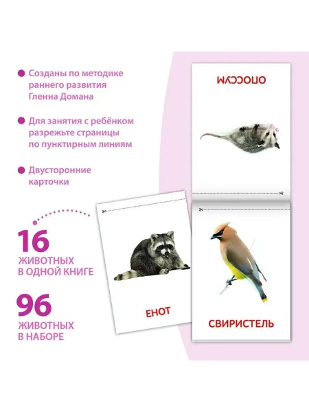 Обучающий набор для малышей "Мир животных материков"