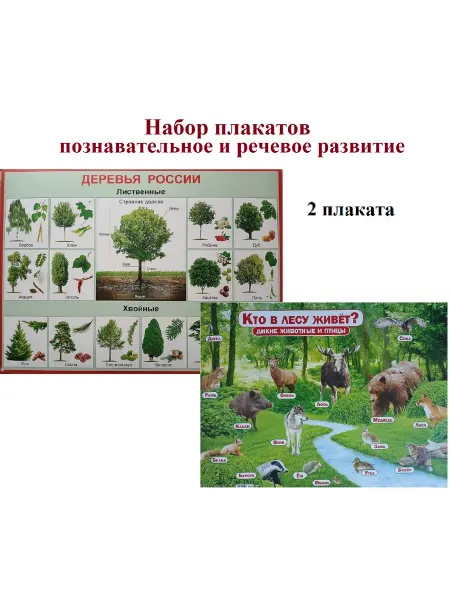 Набор плакатов познавательное и речевое развитие - 2 шт