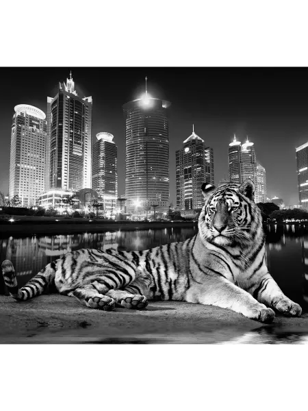 DeliceDecor Фотообои флизелиновые Ф 047 Тигр 300х270см
