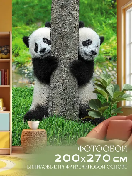 Декор Акцент Фотообои Две панды 200х270