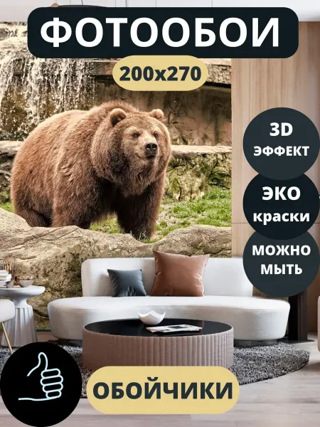 Обойчики Фотообои Животные Медведь в прихожую спальню кухню 200х270
