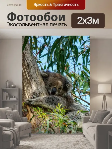 LotsPrints Фотообои "Коала, животное, дерево" 2x3м