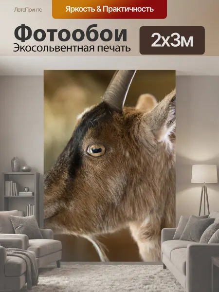 LotsPrints Фотообои "Козел, закрывать, животное" 2x3м
