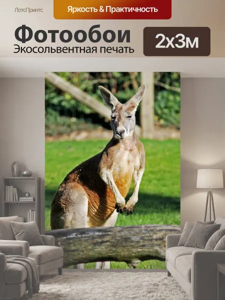 LotsPrints Фотообои "Кенгуру, природа, животное" 2x3м