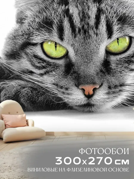 Декор Акцент Фотообои Кот 300х270