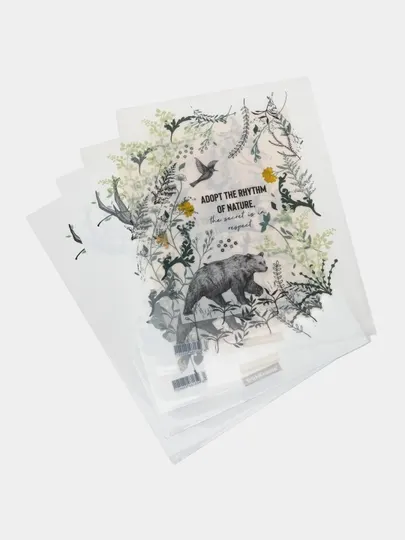 Набор из 4 папок-уголков пластиковых ErichKrause® Natural Life, A4, ассорти 54040