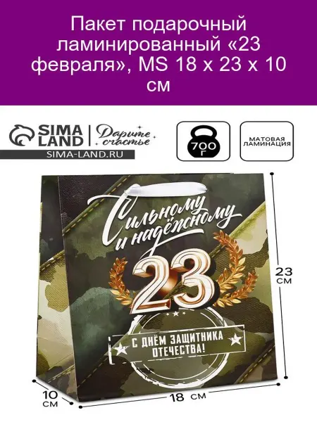 Дарите Счастье Подарочный пакет «23 февраля» 18х23х10 см