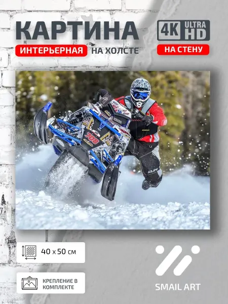 Smail Art Картина на стену Спорт Полярис для студии атмосфера