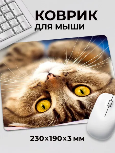 Дари! Коврик для мышки Красивая кошка лежит Кошечка Кот Котик
