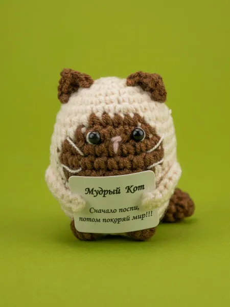 Amuza Вязаная игрушка Мудрый кот
