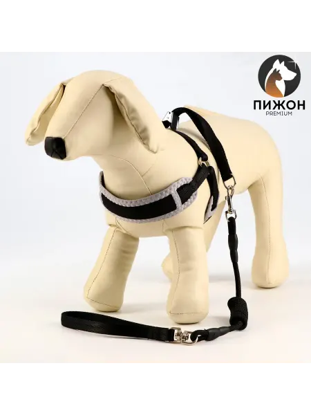 Market_ZOO Комплект мягкая шлейка, поводок 120 х 1 см с вертлюгом, S