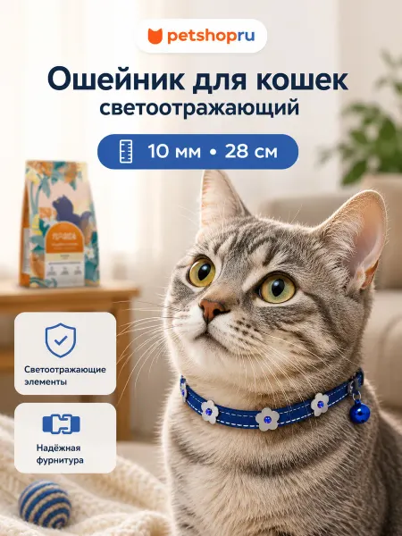 PetShop Ошейник для кошек светоотражающий 10мм-28см, синий