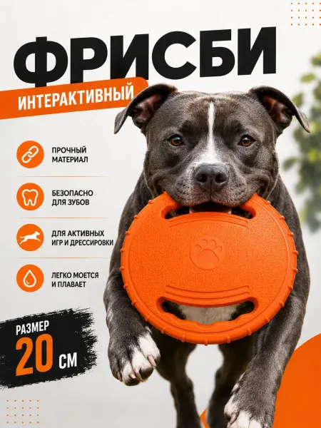 АСТА Лапки Фрисби для собак с ручками 20 см оранжевый