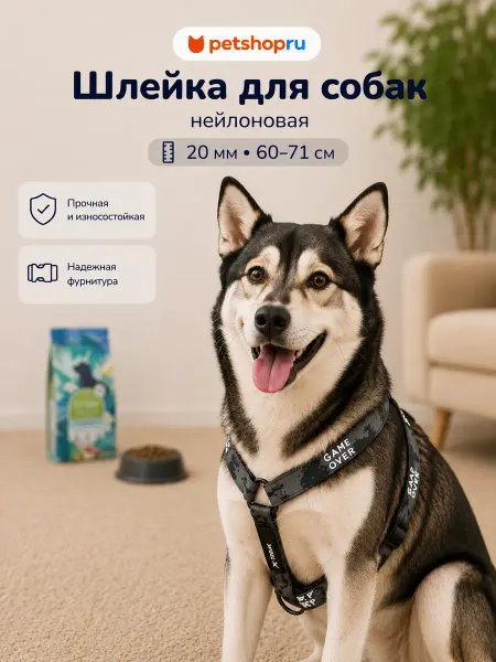 PetShop Шлейка для собак нейлоновая 20мм-60-71см, серая