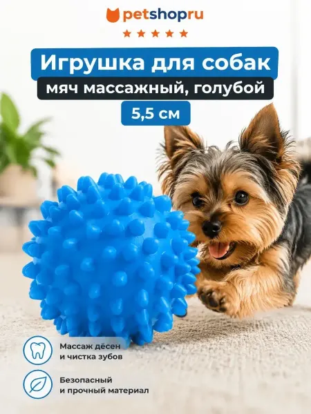 Tappi Игрушка для собак Массажный мяч, 5,5 см