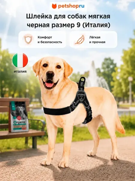 Cortina Мягкая шлейка для собак Fiames черная, 73-83 см, 18-35 кг