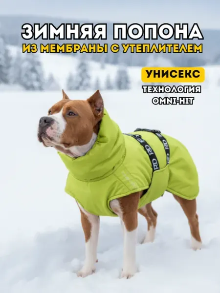 Rain Dog Попона жилет зимний для собак из мембраны лайм