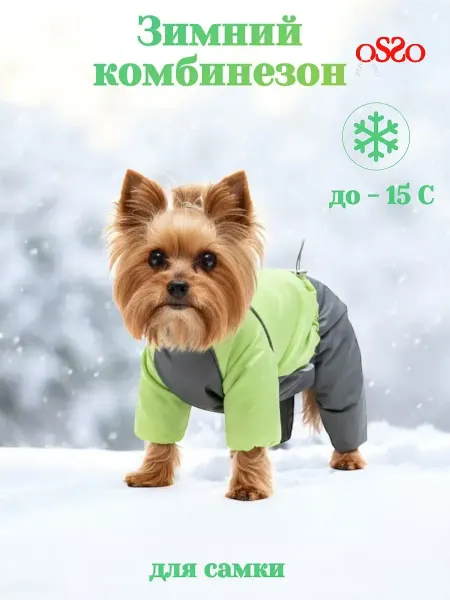 OSSO-fashion Комбинезон для собак мелких пород для девочек