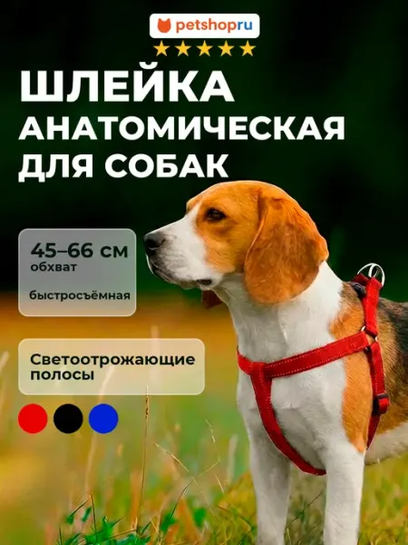 PetShop Шлейка для собак "Турбо", обхват 30-40 см, черная
