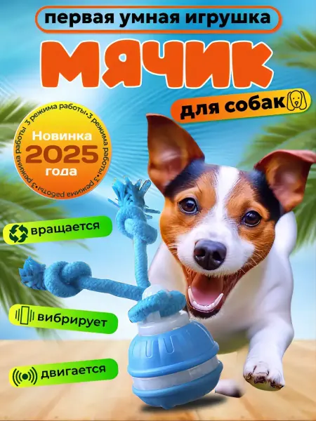 WOOLLYPET Интерактивная игрушка для собак умный мяч