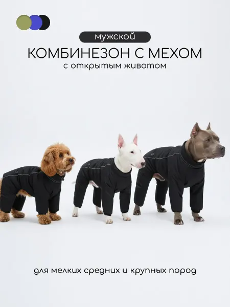 Gold for you Комбинезон утепленный для собак мальчик