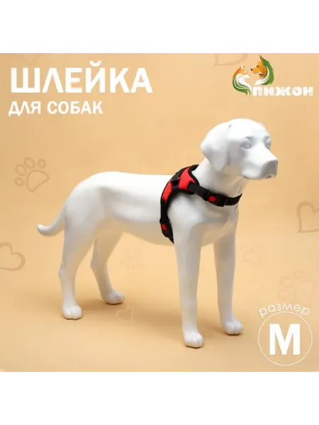 Zeriazor Шлейка для собак и кошек, светоотражающая