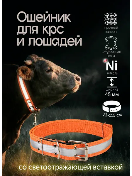 ZooMoDa Ошейник светоотражающий для лошадей и КРС регулируемый