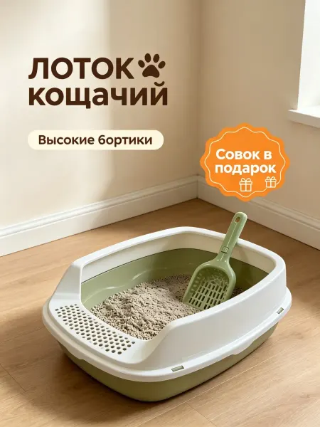 Закрытый лоток для кошек с высокими бортами