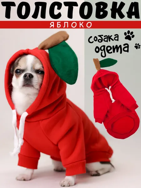 Собака Одета Костюм для собаки свитер кофта теплая яблоко