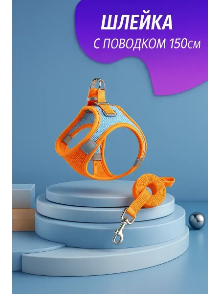 Шлейка для кошек и собак с поводком для прогулки