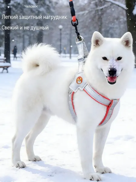 Светоотражающий ночной жилет-поводок
