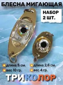 Электронная приманка, блесна светодиодная, моргающая блесна, мигалка на форель, щуку, судака, трёх цветная, 4+10 грамм. Набор из 2 шт.