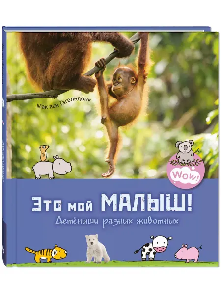 ЭНАС-КНИГА Это мой малыш! Детёныши разных животных. Энциклопедии