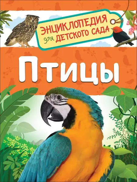 Издательство Росмэн Птицы (Энциклопедия для детского сада)
