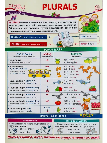 Издательство Сфера Плакат по английскому языку А3 Plurals