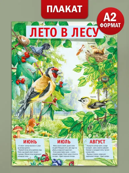 ТМ Мир поздравлений Плакат Лето для оформления детского сада Времена года А2