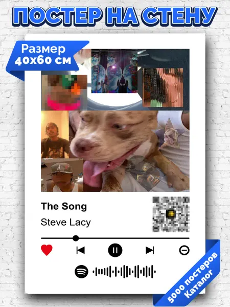 Arthata-spotify постер Спотифай постер Спотифай постер Steve Lacy - The song 40х60