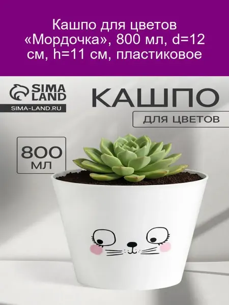 Дарите Счастье Кашпо "Мордочка" 0.8л d12 h11 пластик