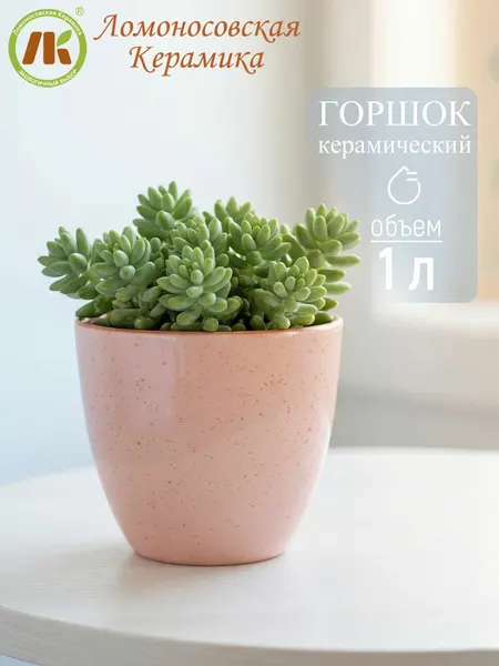 Горшок цветочный Ломоносовская керамика "ColorLife", керамика, светло-розовый, 1 л