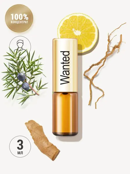 LA PARFUM GALLERIA Духи масляные арабские Wanted мужской парфюм с мятой имбирем